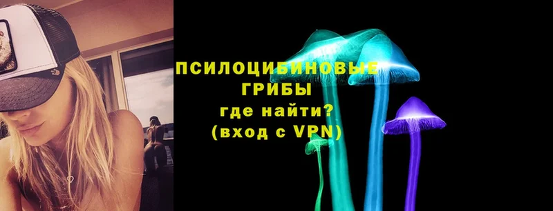 где найти   блэк спрут как войти  Псилоцибиновые грибы прущие грибы  Апшеронск 